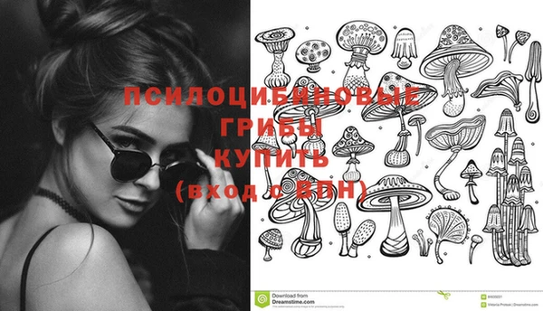 гашик Киренск
