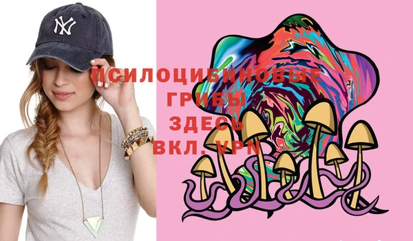 гашик Киренск