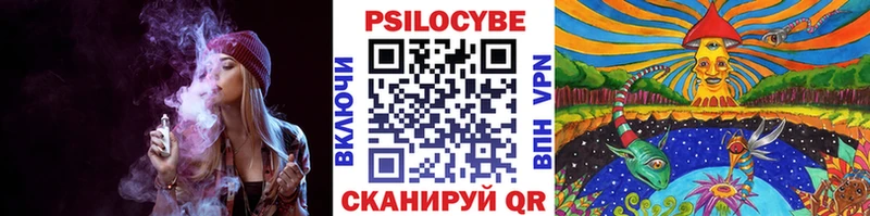 Купить закладки  Кириллов  Галлюциногенные грибы Cubensis 